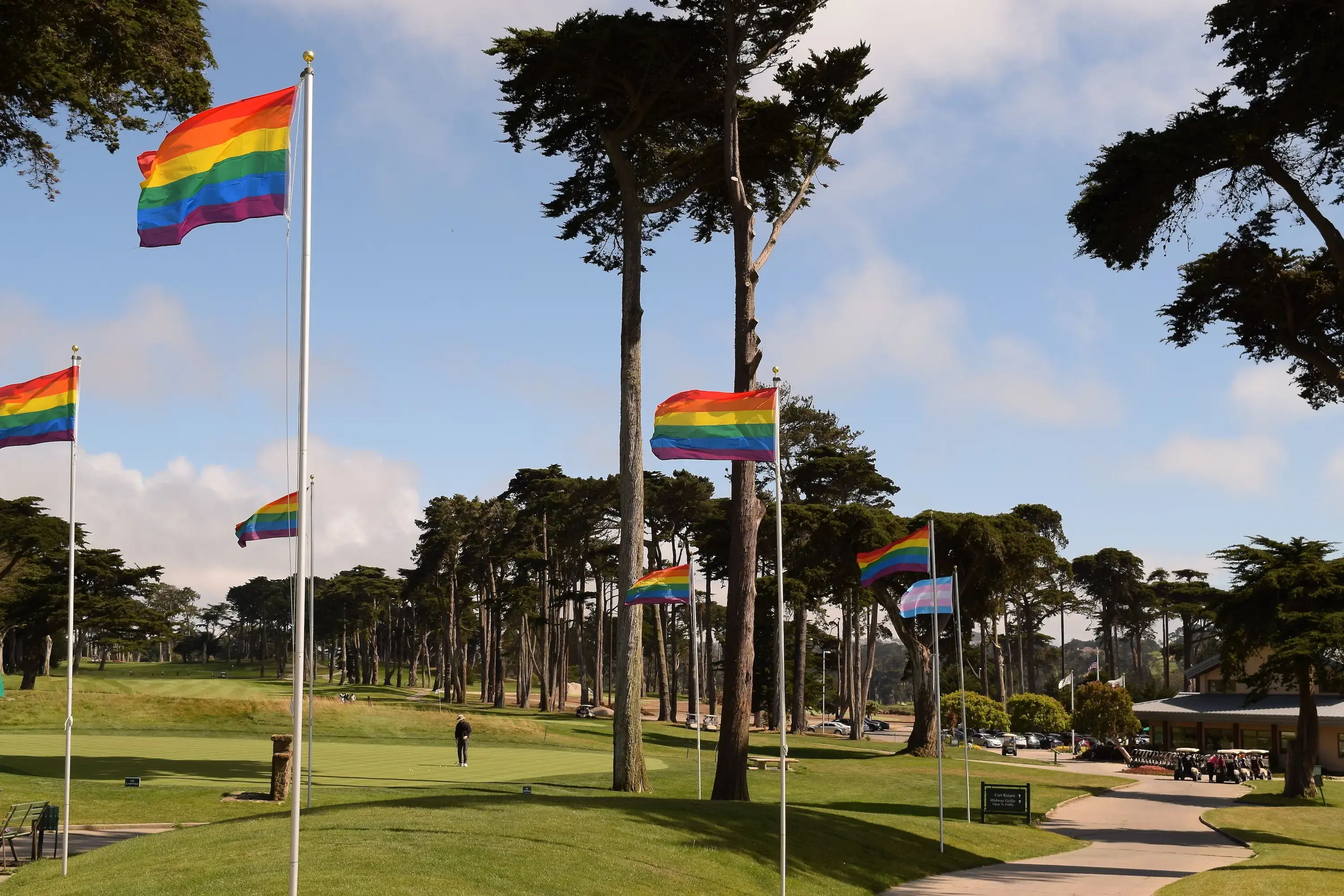 TPC Harding Park