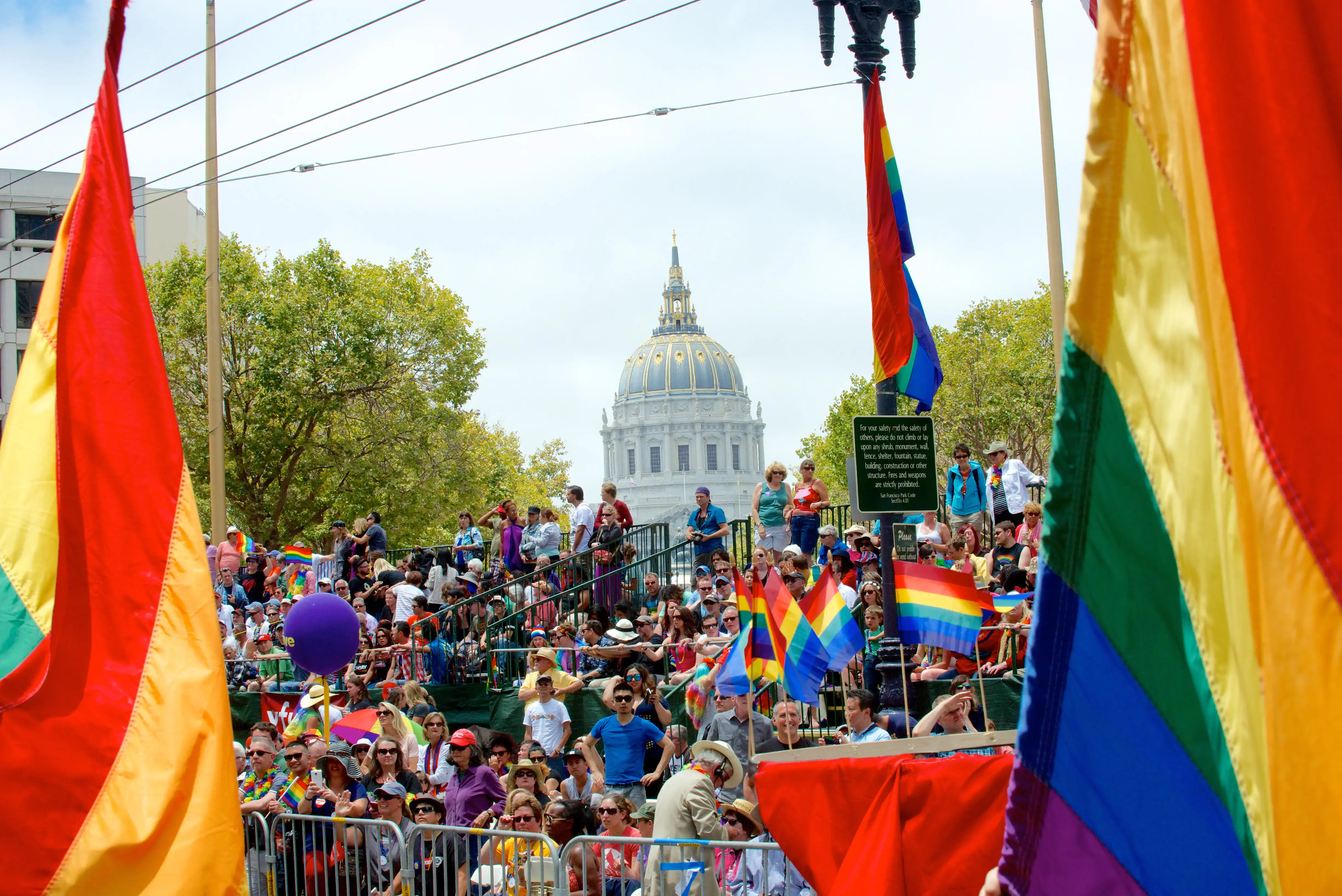 a photograph; rainbow flags and a side-view of the seated and accessible parade areas from the perspective of a parade marcher